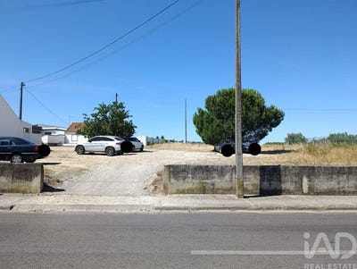 /international/pt/almeirim-santarem-310108317977/