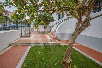 /international/pt/carcavelos-e-parede-lisbon-310096770452/