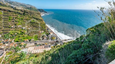 /international/pt/tabua-madeira-310106681829/