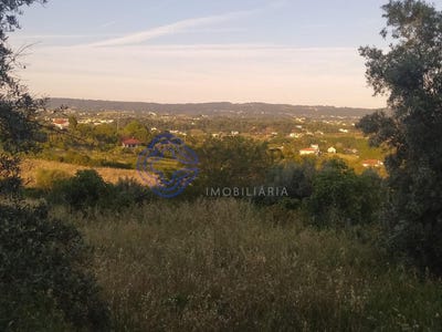 /international/pt/sao-pedro-de-tomar-santarem-310100701954/