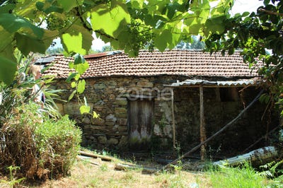 /international/pt/castelo-de-paiva-aveiro-310100598670/?lang=en