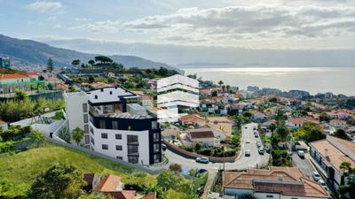 /international/pt/santo-antonio-madeira-310108403777/