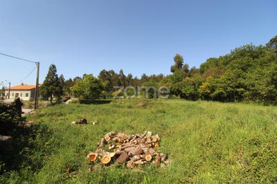 /international/pt/vila-nova-de-cerveira-viana-do-castelo-120085995912/