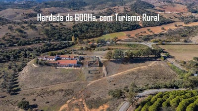 /international/pt/beja-beja-310104170913/