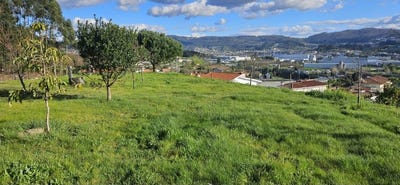 /international/pt/lordelo-braga-310103799142/
