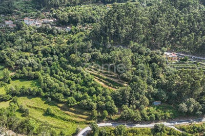 /international/pt/amares-braga-310101161278/