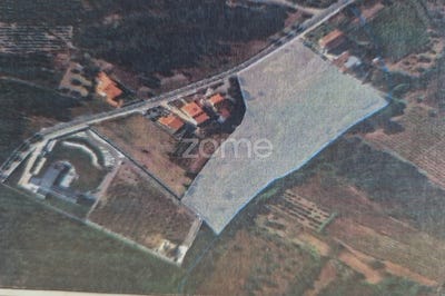 /international/pt/soure-coimbra-310101225712/