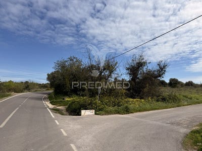/international/pt/conceio-e-estoi-faro-faro-310107737775/