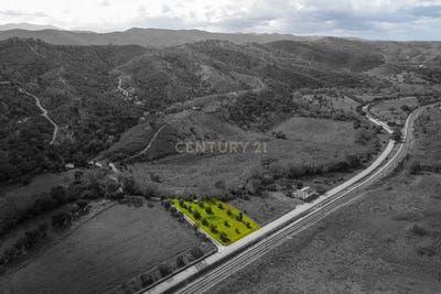/international/pt/sao-marcos-da-serra-portugal-sao-marcos-da-serra-faro-310105229449/