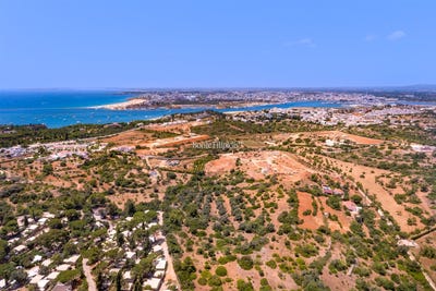 /international/pt/ferragudo-evora-310107581685/