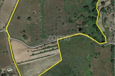 /international/pt/gouveia-guarda-310101666945/