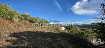 /international/pt/loule-faro-310103666210/