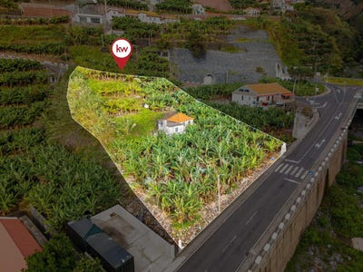 /international/pt/madalena-do-mar-madeira-310104344338/