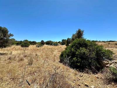 /international/pt/guia-leiria-310100713743/?lang=zh-tw