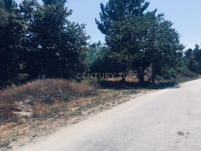 /international/pt/povolide-viseu-310100665615/