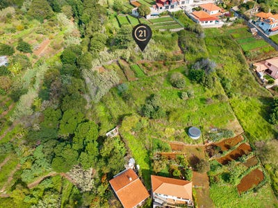 /international/pt/janeiro-ilha-da-madeira-madeira-310099221282/