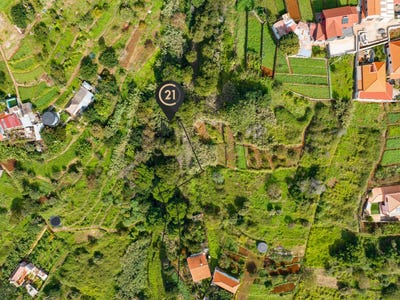 /international/pt/janeiro-ilha-da-madeira-madeira-310099219884/