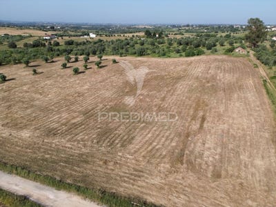 /international/pt/brogueira-parceiros-de-igreja-e-alcorochel-torres-novas-santarem-310099343635/