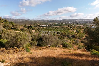 /international/pt/loule-faro-310101948167/