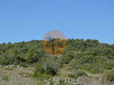 /international/pt/foupana-olhao-faro-120086472251/
