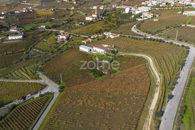 /international/pt/peso-da-regua-vila-real-310108307365/