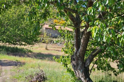 /international/pt/murca-guarda-310104166139/