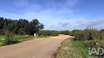 /international/pt/faro-faro-310108599572/