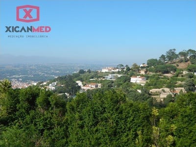 /international/pt/colares-lisbon-310098740461/