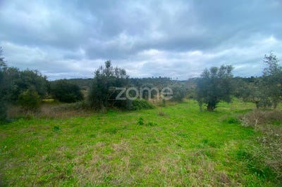 /international/pt/tomar-santarem-310097319555/?lang=zh-cn
