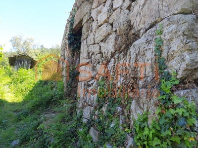 /international/pt/penso-viseu-310100491312/