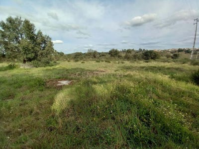 /international/pt/3p97-xr-pedrogao-portugal-aldeia-de-santa-margarida-castelo-branco-310106853974/