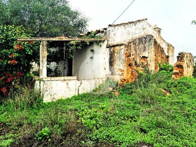 /international/pt/quelfes-faro-310109147925/?lang=de