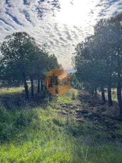 /international/pt/odeleite-faro-310106591688/