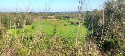 /international/pt/casalinho-lisbon-310108212508/