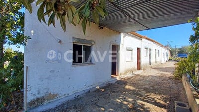 /international/pt/paialvo-santarem-310096293343/