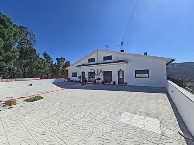 /international/pt/mangualde-viseu-310108262692/