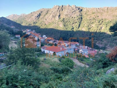 /international/pt/gavieira-viana-do-castelo-310100483546/