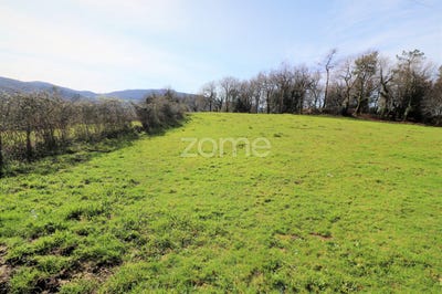 /international/pt/vila-verde-braganca-310106424746/