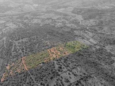 /international/pt/cerro-de-messines-sao-bartolomeu-de-messines-faro-310105164538/