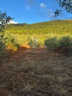 /international/pt/alqueidao-da-serra-porto-de-mos-leiria-310102112805/