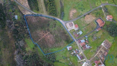 /international/pt/vinha-da-rainha-coimbra-310097008328/?lang=zh-cn