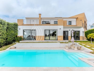 /international/pt/nadadouro-leiria-310100761647/