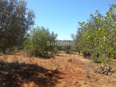 /international/pt/silves-faro-310107217364/
