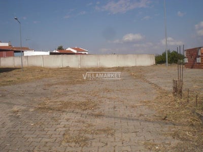 /international/pt/alvito-braga-310108319316/