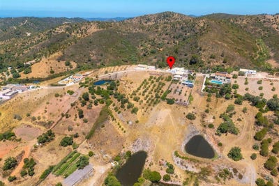 /international/pt/alte-faro-310099549290/