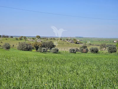 /international/pt/entradas-castro-verde-beja-310107913950/