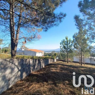 /international/pt/viana-do-castelo-viana-do-castelo-310103088738/