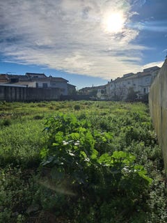 /international/pt/rua-do-monte-campo-valongo-portugal-valongo-braganca-310104286399/