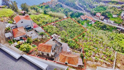 /international/pt/canhas-madeira-310107793222/