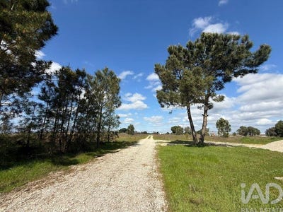 /international/pt/setubal-setubal-municipality-310106823359/